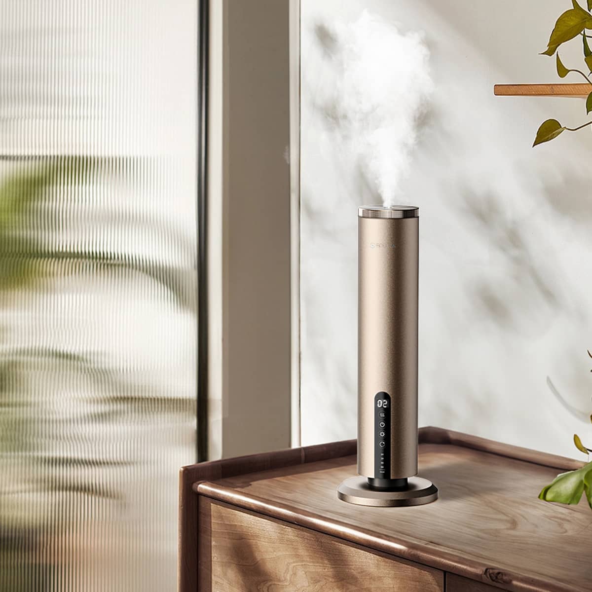 Scentys Aura – Image 2